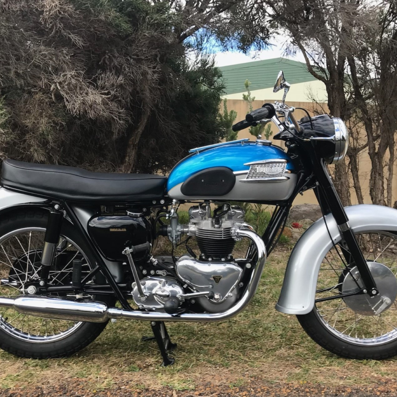 Triumph Kingfisher Blue Candy Paint Product